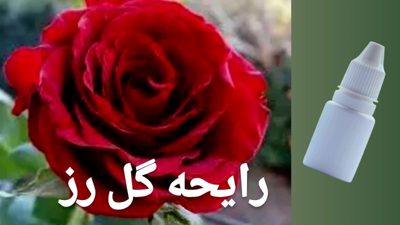 رایحه گل رز